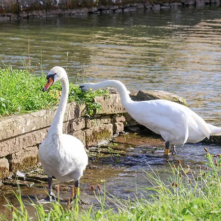 The Swans Nest Lock View Holiday home Skipton