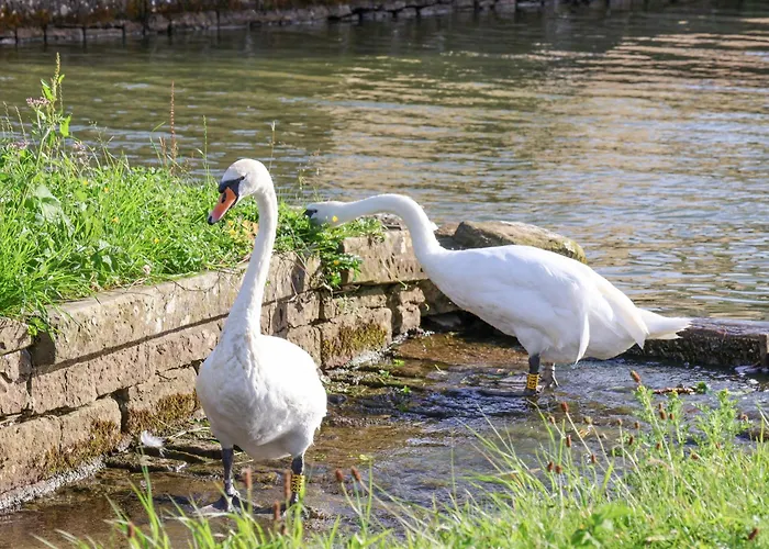 The Swans Nest Lock View 別荘 スキプトン